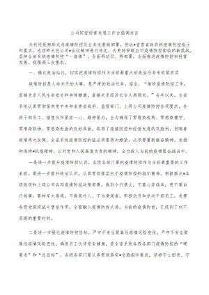 公司防控经营发展工作会强调发言.docx