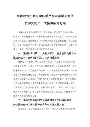 共青团沧州师范学院委员会认真学习宣传贯彻党的二十大精神实施方案（20221117）.docx