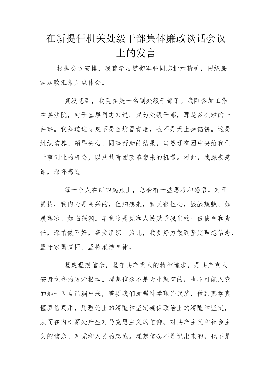 在新提任机关处级干部集体廉政谈话会议上的发言.docx_第1页