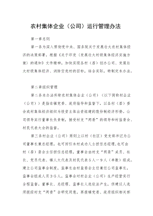 农村集体企业（公司）运行管理办法.docx