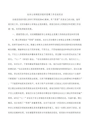 在非公有制经济组织党建工作总结发言.docx