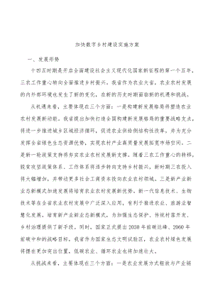 加快数字乡村建设实施方案.docx