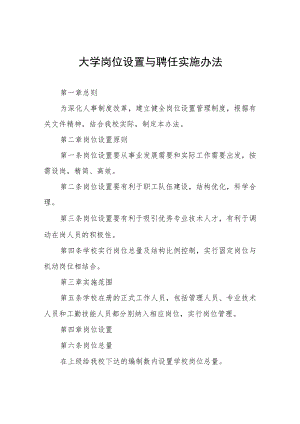 大学岗位设置与聘任实施办法.docx