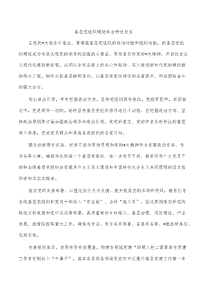 基层党组织建设体会研讨发言.docx