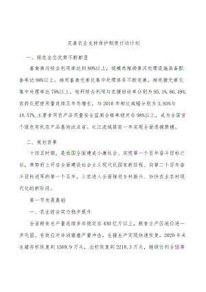 完善农业支持保护制度行动计划.docx