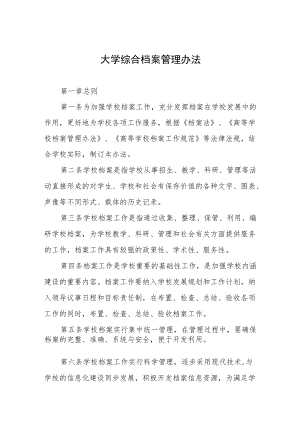 大学综合档案管理办法.docx