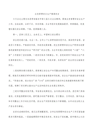 应急管理安全生产强调发言.docx