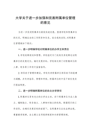 大学关于进一步加强和完善附属单位管理的意见.docx