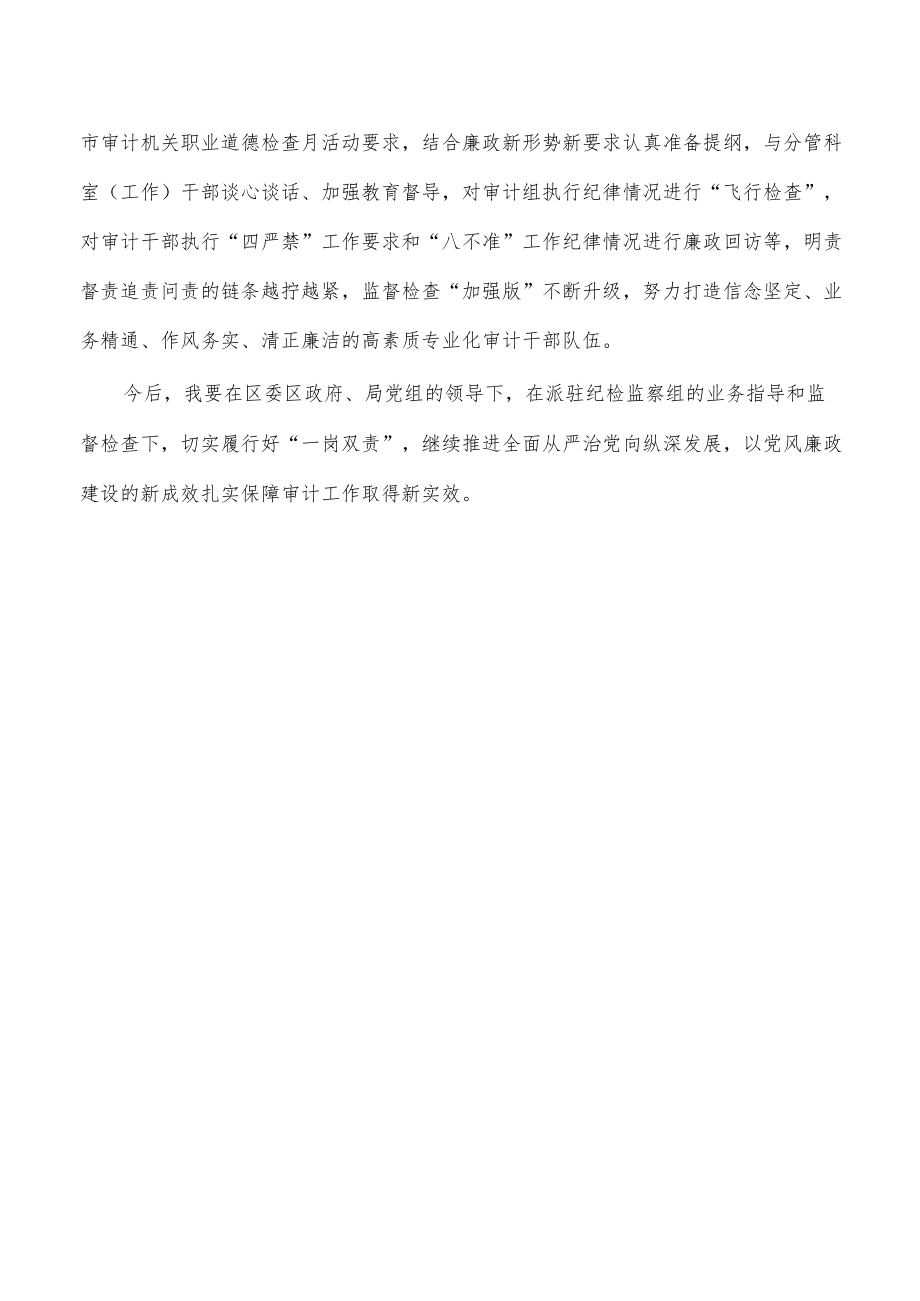 审计履行一岗双责总结报告.docx_第3页