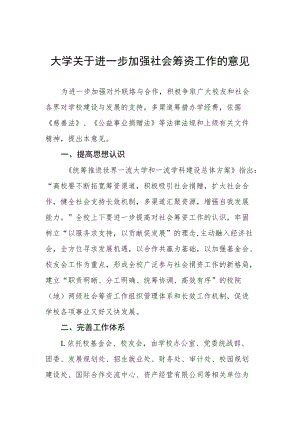 大学关于进一步加强社会筹资工作的意见.docx