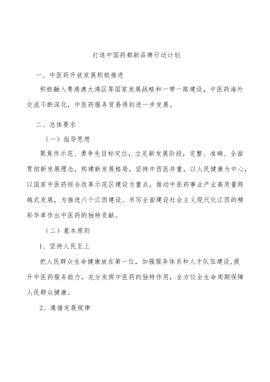 打造中国药都新品牌行动计划.docx_第1页