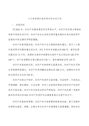 大力培育高价值发明专利行动计划.docx