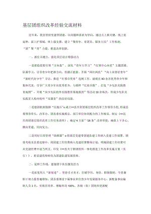 基层团组织改革经验交流材料.docx