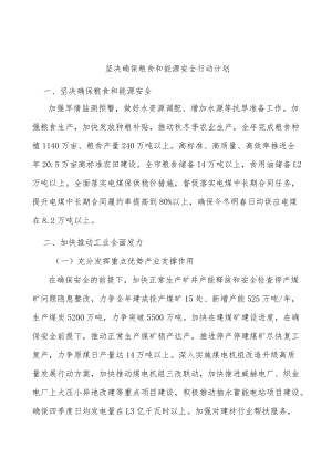 坚决确保粮食和能源安全行动计划.docx