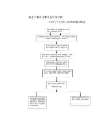 衡水市审计局审计处罚流程图.docx