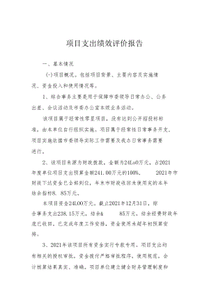 项目支出绩效评价报告.docx