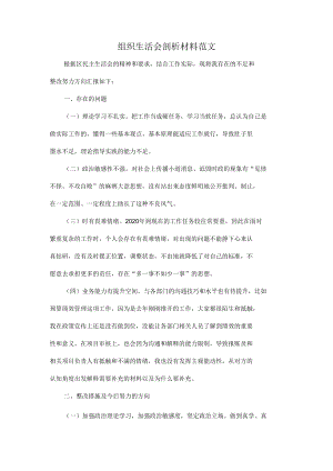 组织生活会剖析材料范1.docx