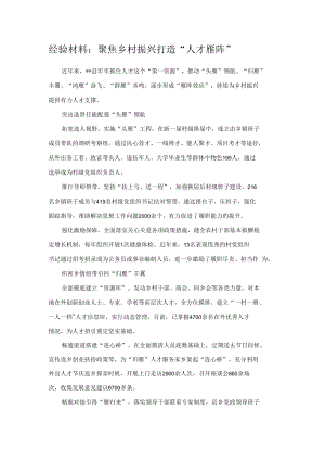 经验材料：聚焦乡村振兴 打造“人才雁阵”.docx