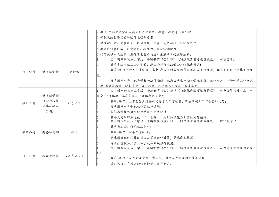 长沙市砂石产业有限责任公司2020年公开招聘岗位计划表.docx_第2页