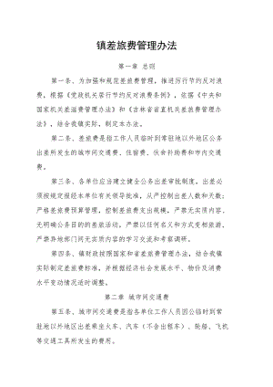 镇差旅费管理办法.docx