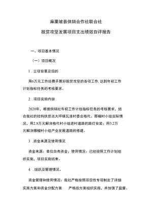 麻栗坡县供销合作社联合社脱贫攻坚发展项目支出绩效自评报告.docx