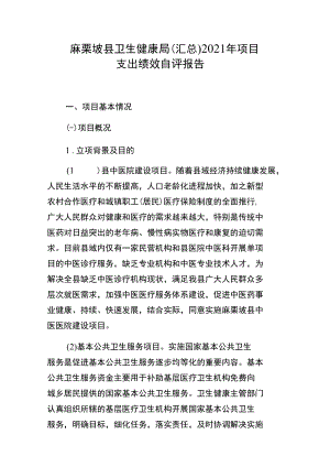 麻栗坡县卫生健康局汇总2021年项目支出绩效自评报告.docx