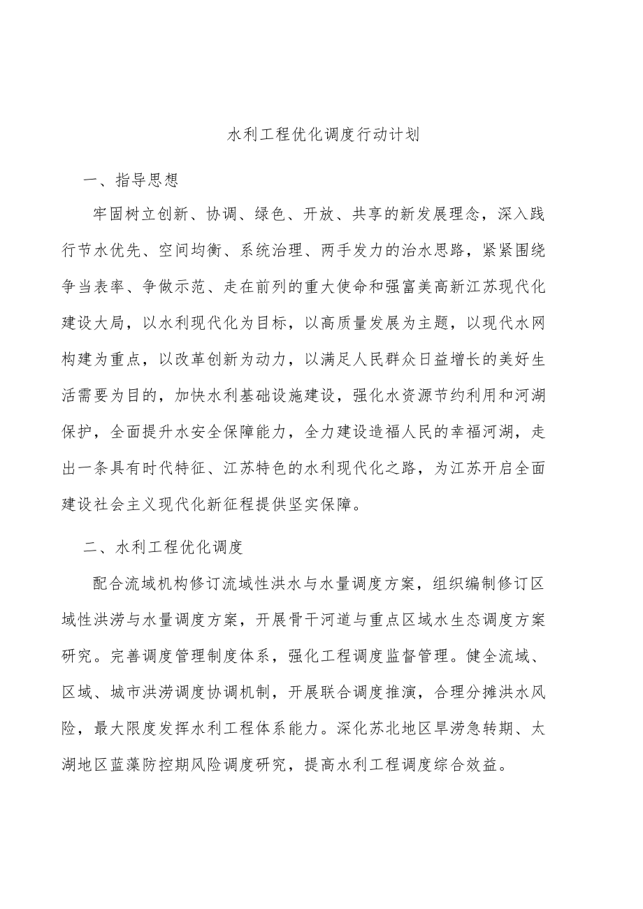 水利工程优化调度行动计划.docx_第1页