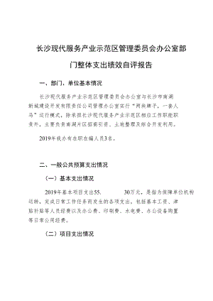 长沙现代服务产业示范区管理委员会办公室部门整体支出绩效自评报告.docx