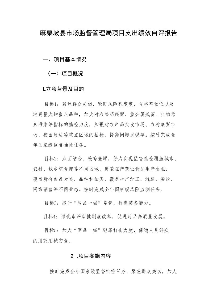 麻栗坡县市场监督管理局项目支出绩效自评报告.docx_第1页