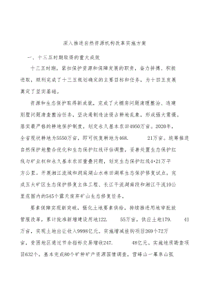 深入推进自然资源机构改革实施方案.docx