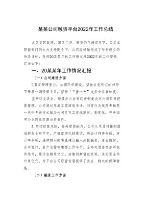 某某公司融资平台2022年工作总结.docx