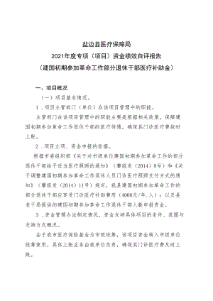 盐边县医疗保障局2021年度专项项目资金绩效自评报告.docx