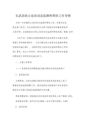 长武县防止返贫动态监测和帮扶工作导则.docx