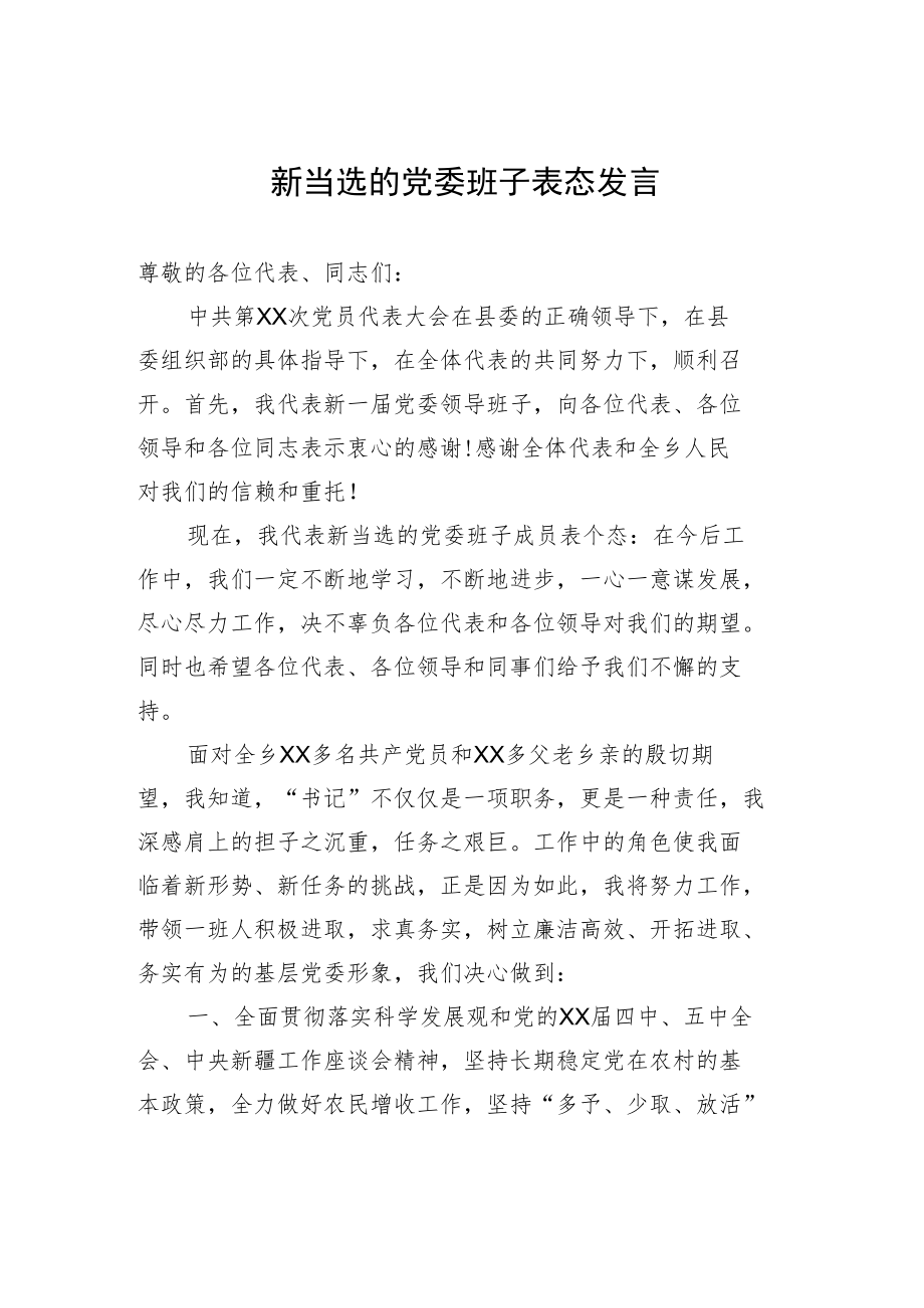 新当选的党委班子表态发言.docx_第1页