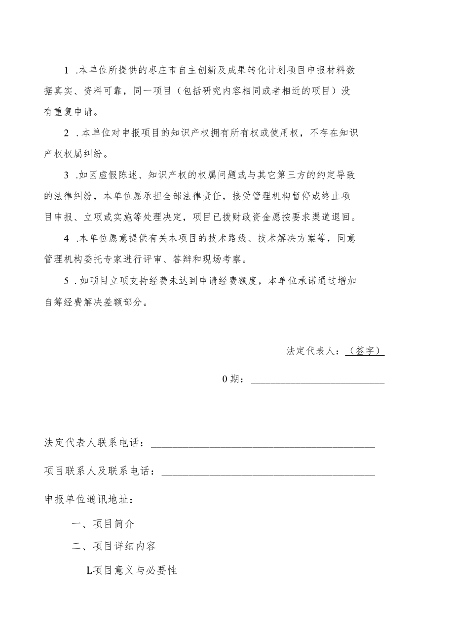 项目类别：.docx_第2页