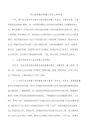 非公经济组织党建工作会上的讲话.docx