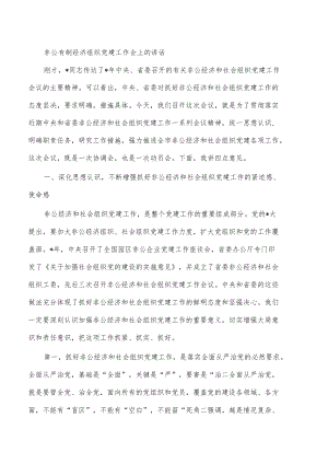 非公有制经济组织党建工作会上的讲话.docx