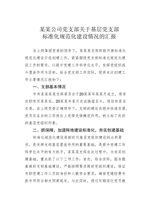 某某公司党支部关于基层党支部标准化规范化建设情况的汇报.docx