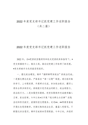 2022年度党支部书记抓党建工作述职报告(共二篇).docx