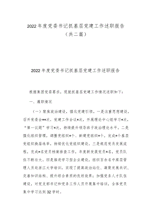 2022年度党委书记抓基层党建工作述职报告(共二篇).docx