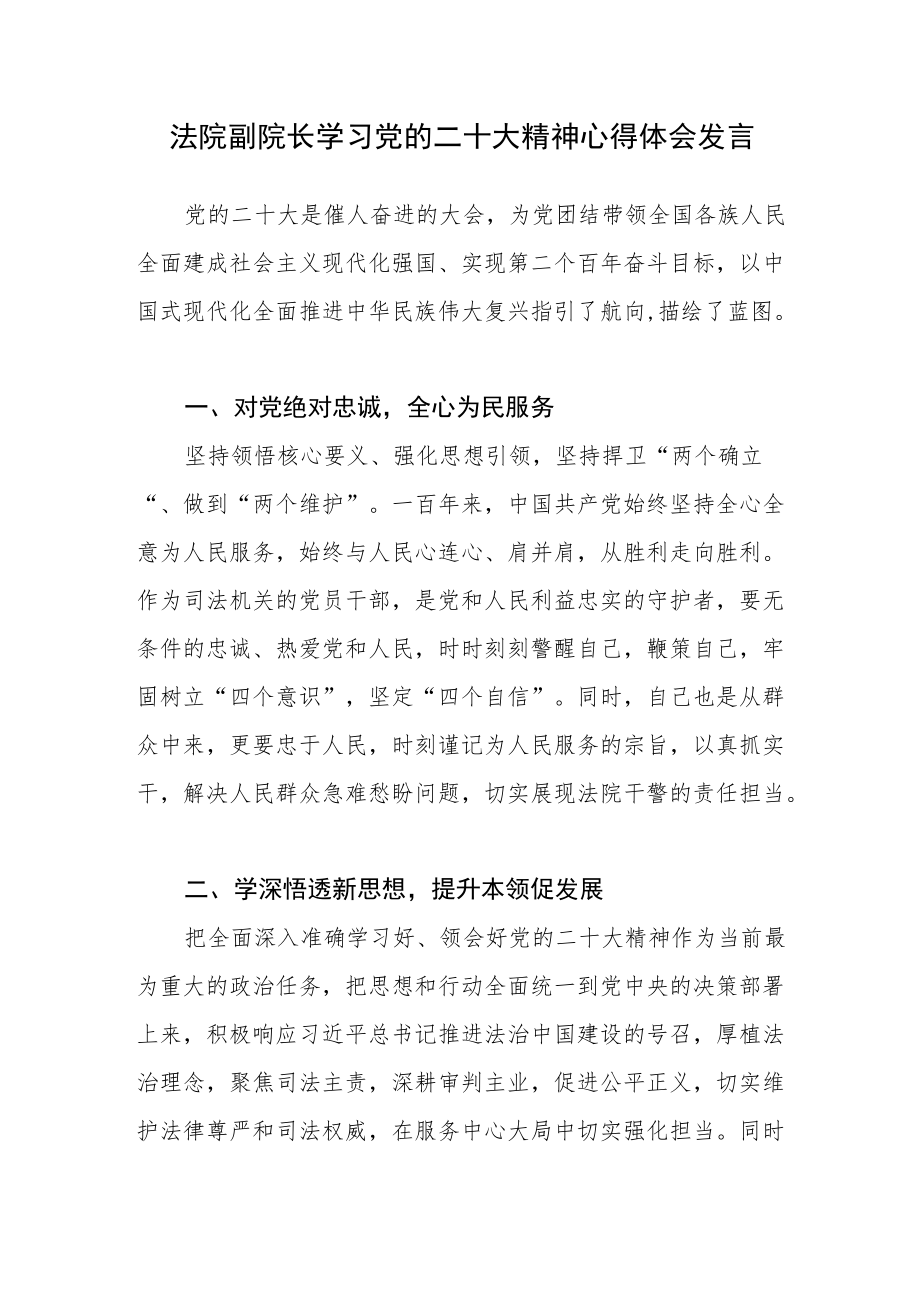 法院副院长学习党的二十次会大精神心得体会发言.docx_第1页