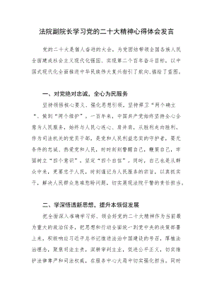 法院副院长学习党的二十次会大精神心得体会发言.docx