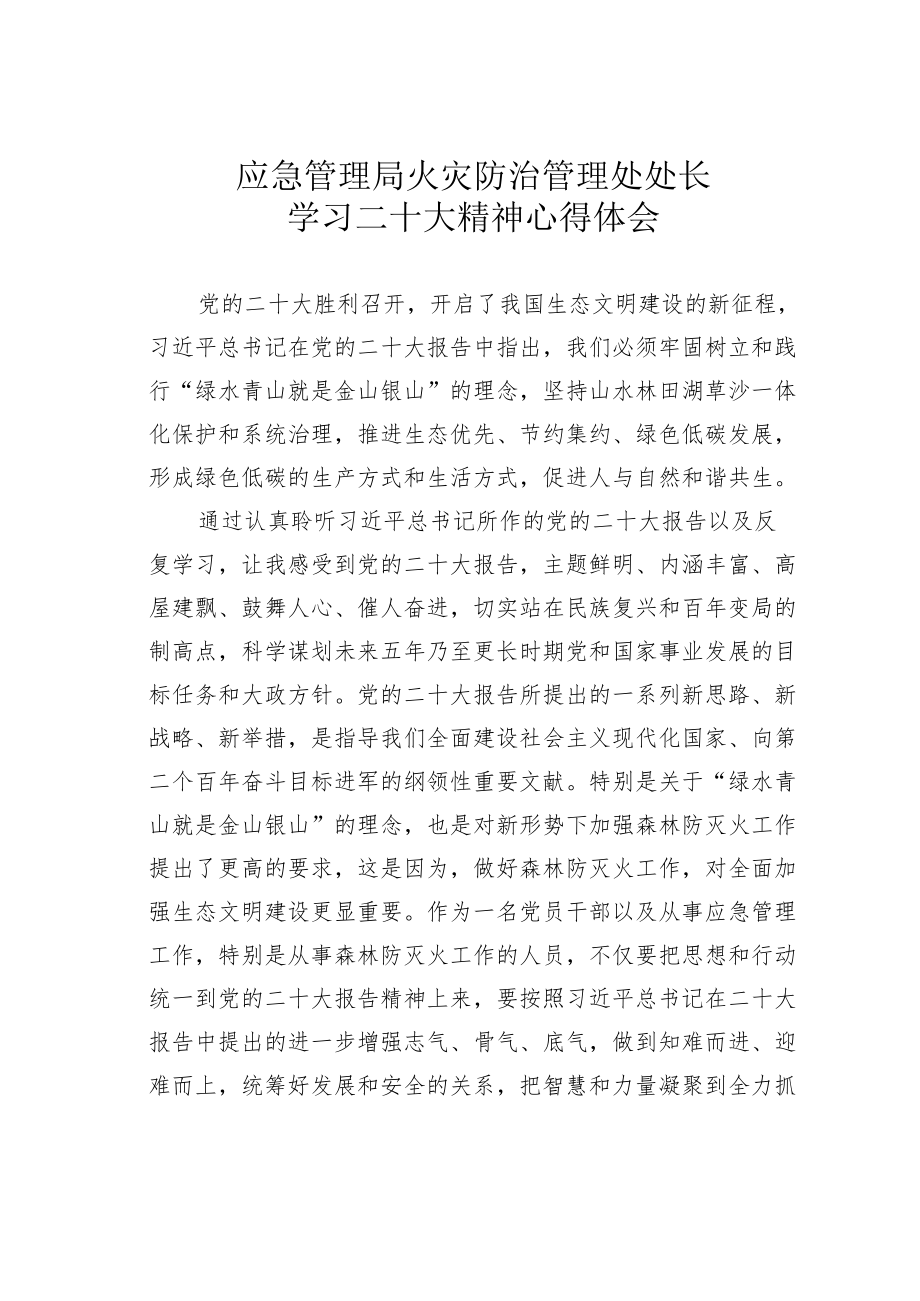 应急管理局火灾防治管理处处长学习二十大精神心得体会.docx_第1页