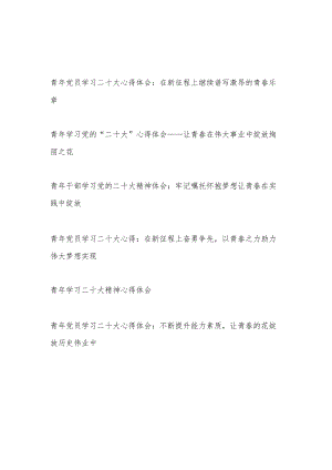 2022青年党员干部学习二十大报告精神心得体会感想研讨发言6篇.docx