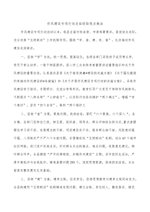 作风建设专项行动总结经验亮点做法.docx