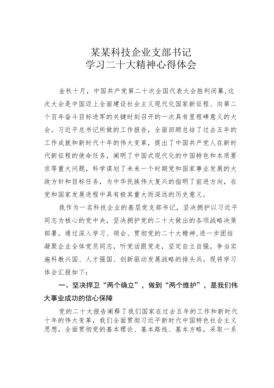 某某科技企业支部书记学习二十大精神心得体会.docx_第1页