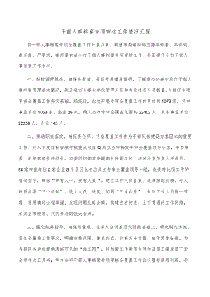 干部人事档案专项审核工作情况汇报.docx