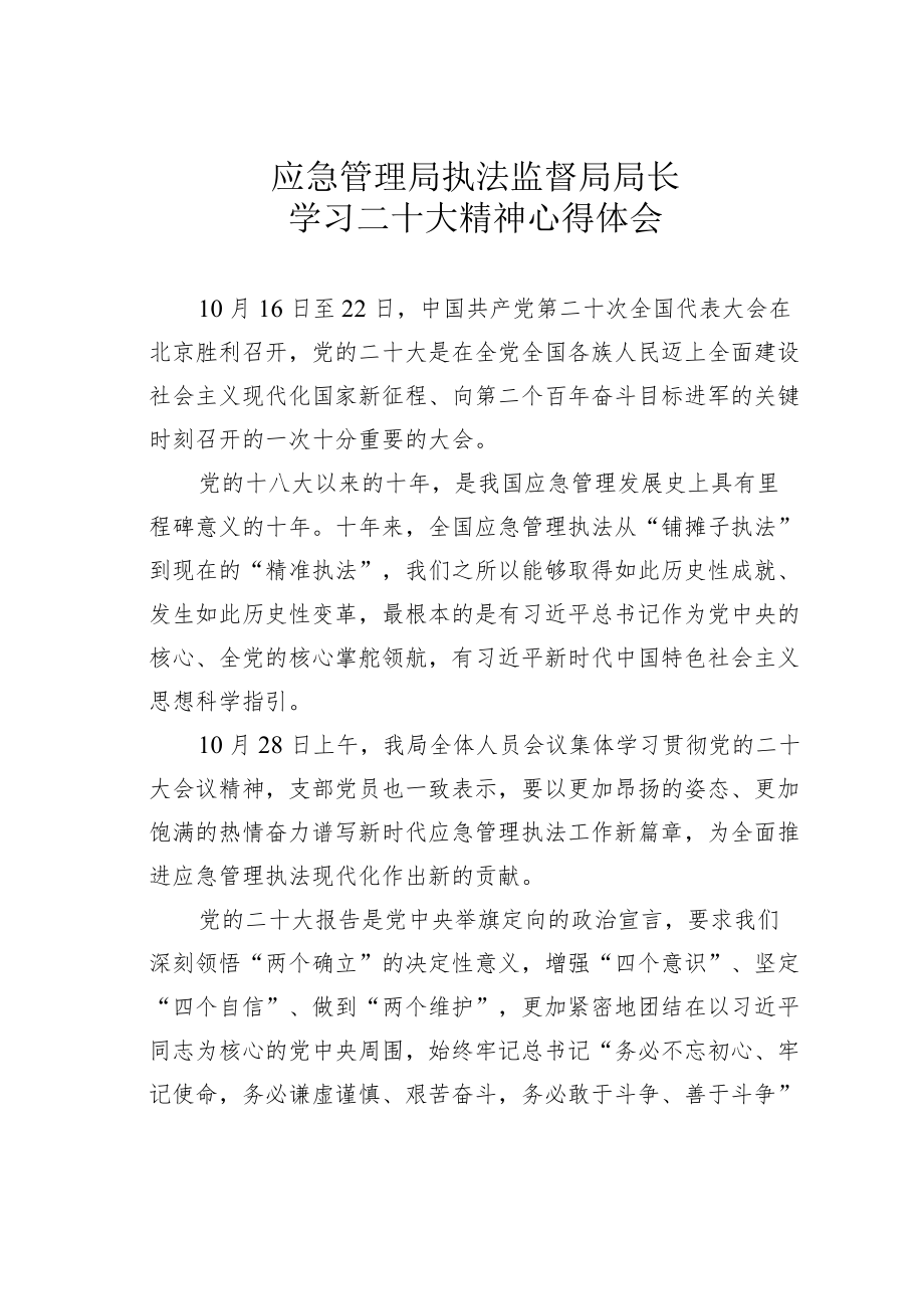 应急管理局执法监督局局长学习二十大精神心得体会.docx_第1页