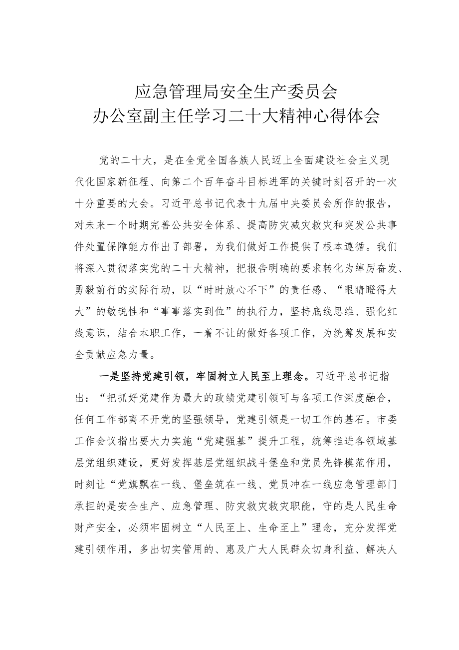 应急管理局安全生产委员会办公室副主任学习二十大精神心得体会.docx_第1页