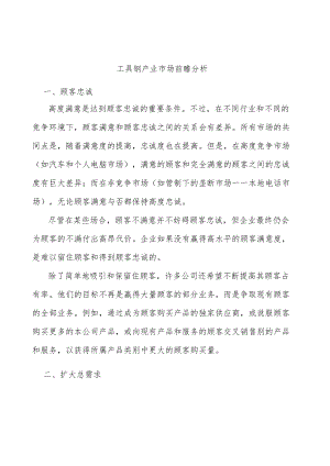 工具钢产业市场前瞻分析.docx